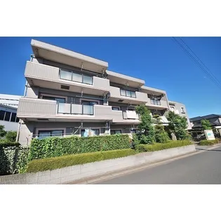 アヴァンティの画像