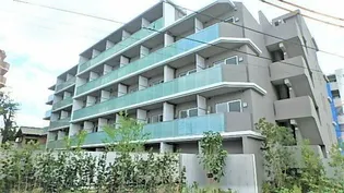 HY'S VIGOR 墨田の画像