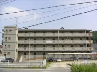 コーポ本永2の画像