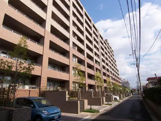サーパスシティ紫原三丁目【8階】の外観