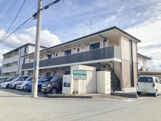 プリムローズFの画像