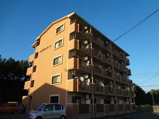 静岡県浜松市中央区小池町【マンション】の外観