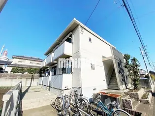 レオネクストアンフィーニ洋の画像