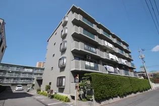 コスモコートの画像