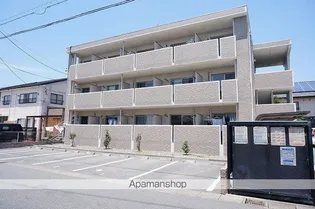 アルトの画像