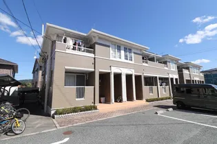 カメリアBの画像