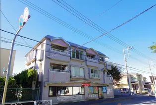 エバーグレースの画像