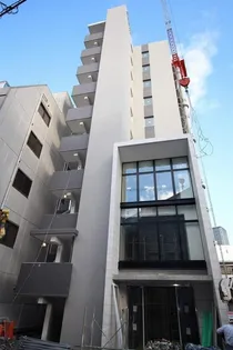 ハナミズキ福島の画像