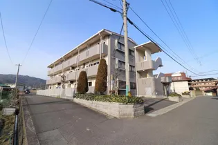 メゾンスプリングの画像