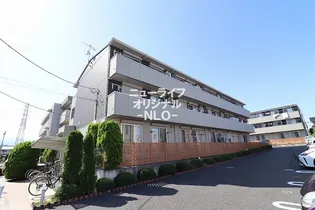 アルシオーネコートAの画像