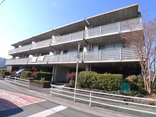 アンス フォー ダイスの画像