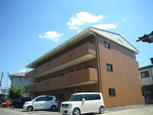 ブラウンハイムBの画像