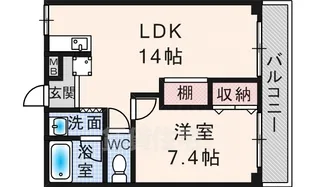 フォレスト・ヒル櫻【2階】の間取り