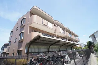 セイントアグアの画像