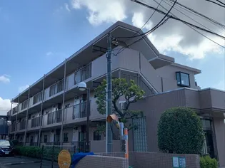エクセラークの画像