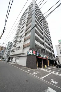 シグナスの画像