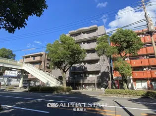 カルチェコート鴨池【5階】の外観
