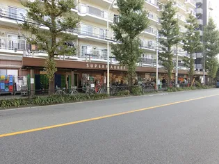 シェル中野弥生町【6階】の周辺