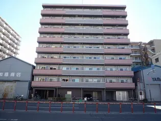 ブライズ亀戸DUE【7階】の外観