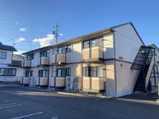 藤 LIN DEN Bの画像