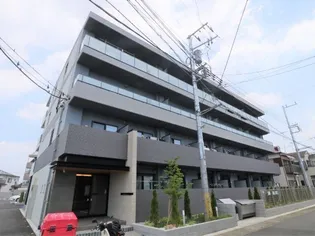 トゥジュール T Yの画像