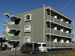 ヴェールの画像