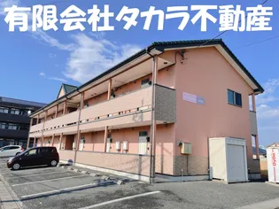 コモドカーサの画像