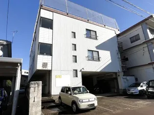 ガーベラコートの画像