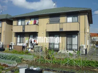 パーシモンツリーA【2階】の外観