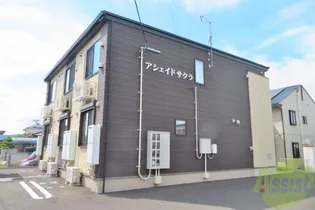 アシェイドサクラの画像