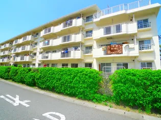 美原コープタウンD棟【4階】の外観