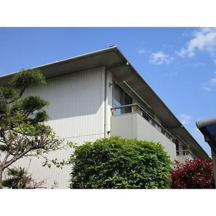 ヒラソールマルセイIIIの画像