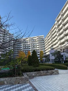 東急ドエルアルス多摩川の画像