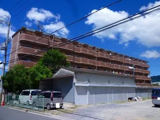 ヴェルドミール山本の画像