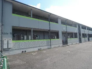 ローズマリーA Bの画像