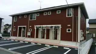 ルピナスの画像