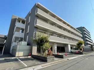 ライトステージの画像