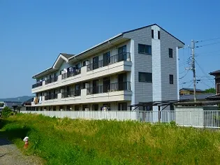 東多賀ヴィラ【3階】の外観