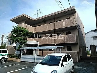グリーンツリーの画像