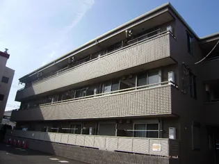 湘南コスモスの画像