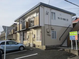 セレスト福田の画像