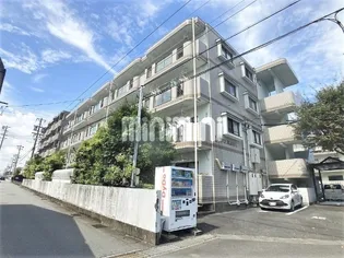 ファイブアイランド 1【3階】の外観