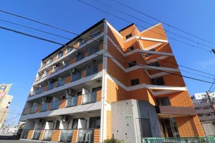 ドマーニの画像