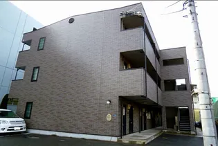 アンプルールフェールREALIFEの画像