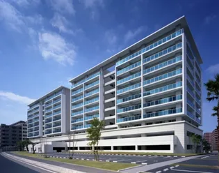 リングローブの画像