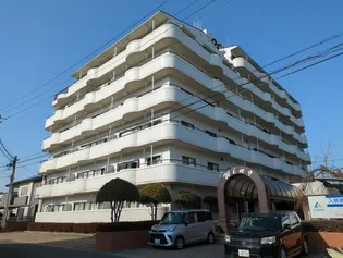 ウイングの画像