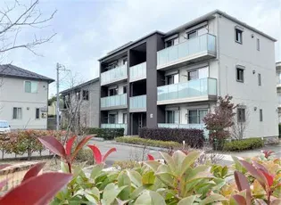 ソムニウムBの画像