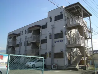 コーポ中沢1号館の画像