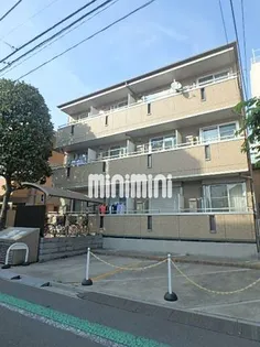 マグノリアの画像