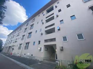 西舞子エイトの画像